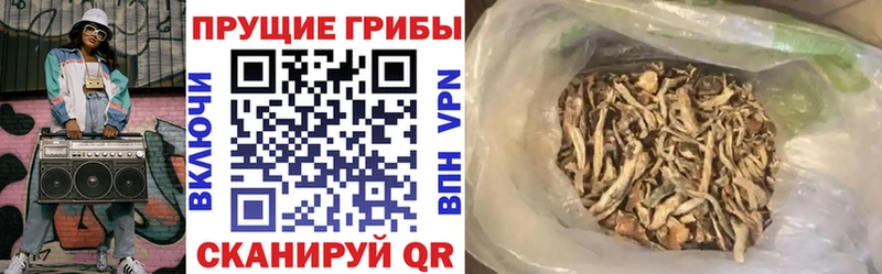 гидра сайт Южа Галлюциногенные грибы ЛСД